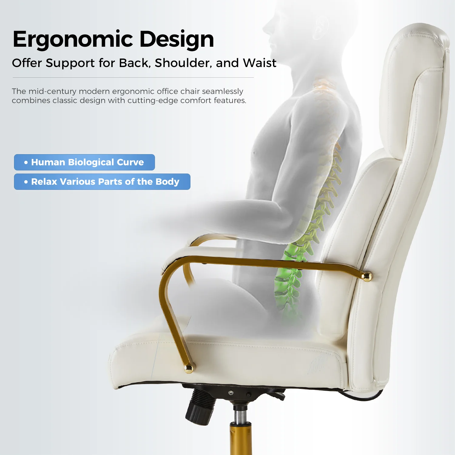 Bradford Ergonomic Office Chair with Lumbar Support in Ivory