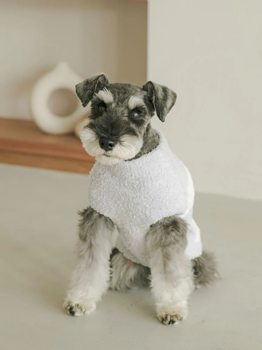CAT&DOG Baby Moco Schnauzer Pet Clothes