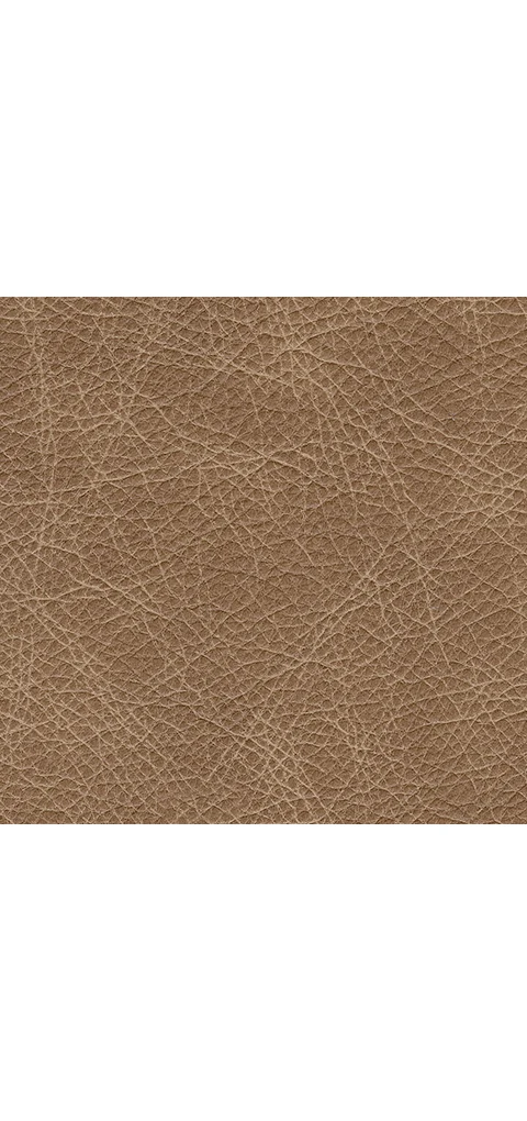 Bradney Swivel Accent Chair