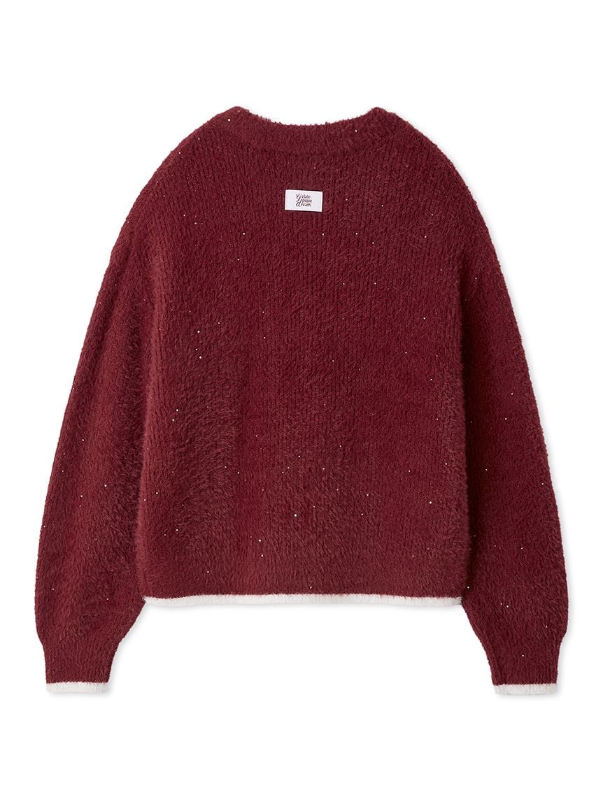 Glittering Feather Pullover