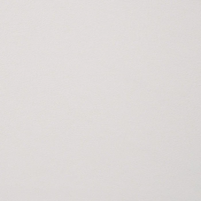 Alisha Dining Chairs