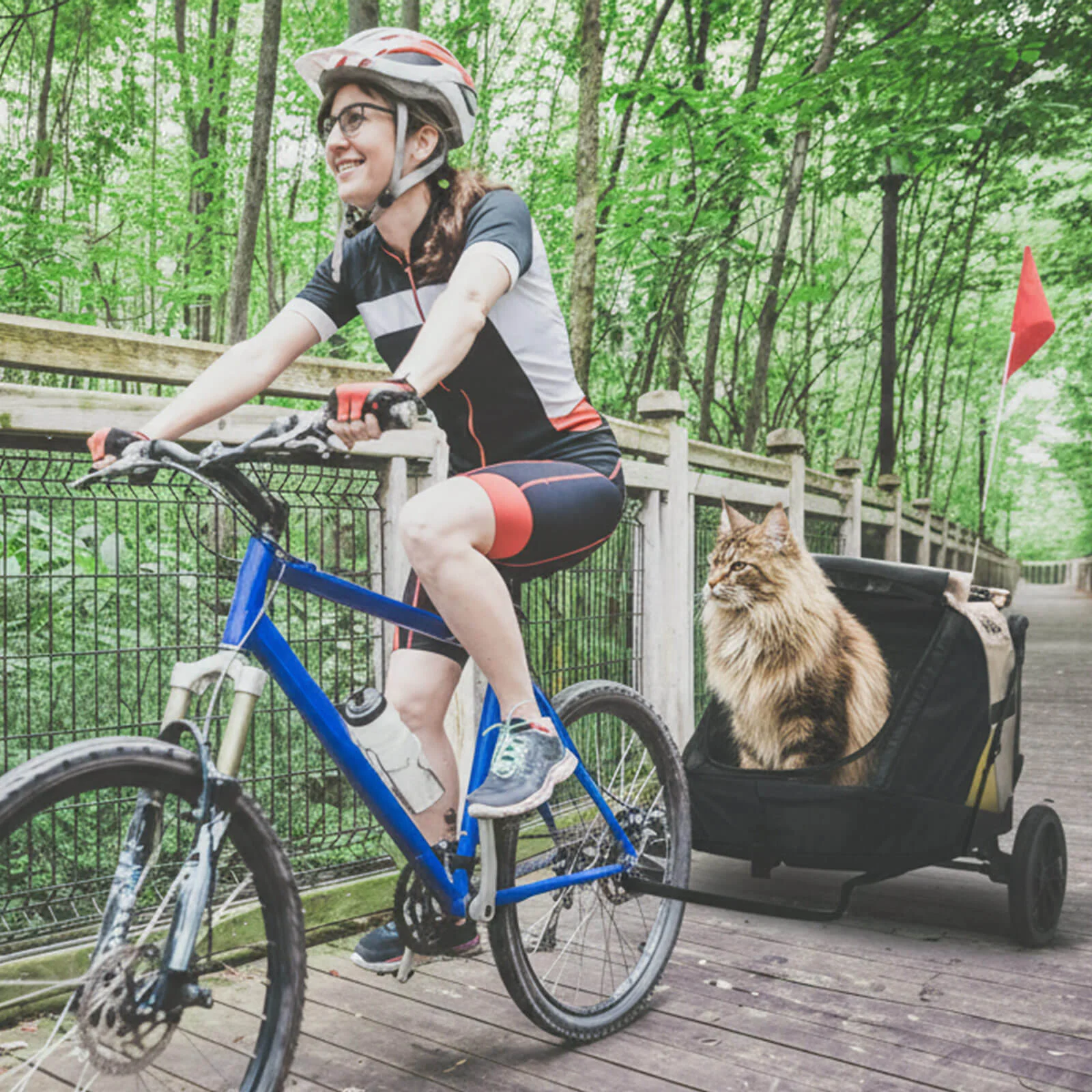 Minika 3-in-1 Pet Stroller System Foldable Dog Bicycle Trailer & Soft Crate Kennel 