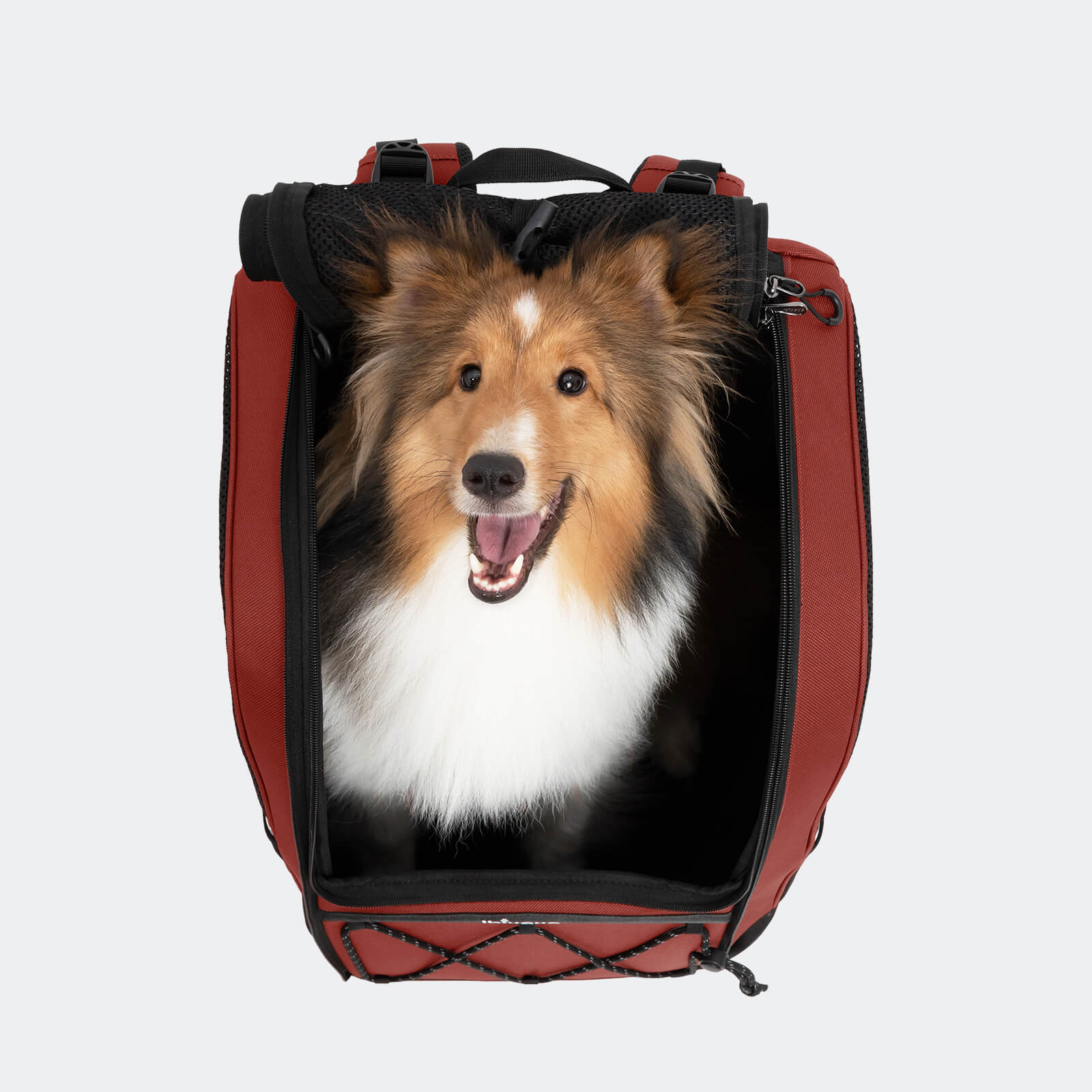 Champion Large Dog Carrier Backpack, with Optional Wheels