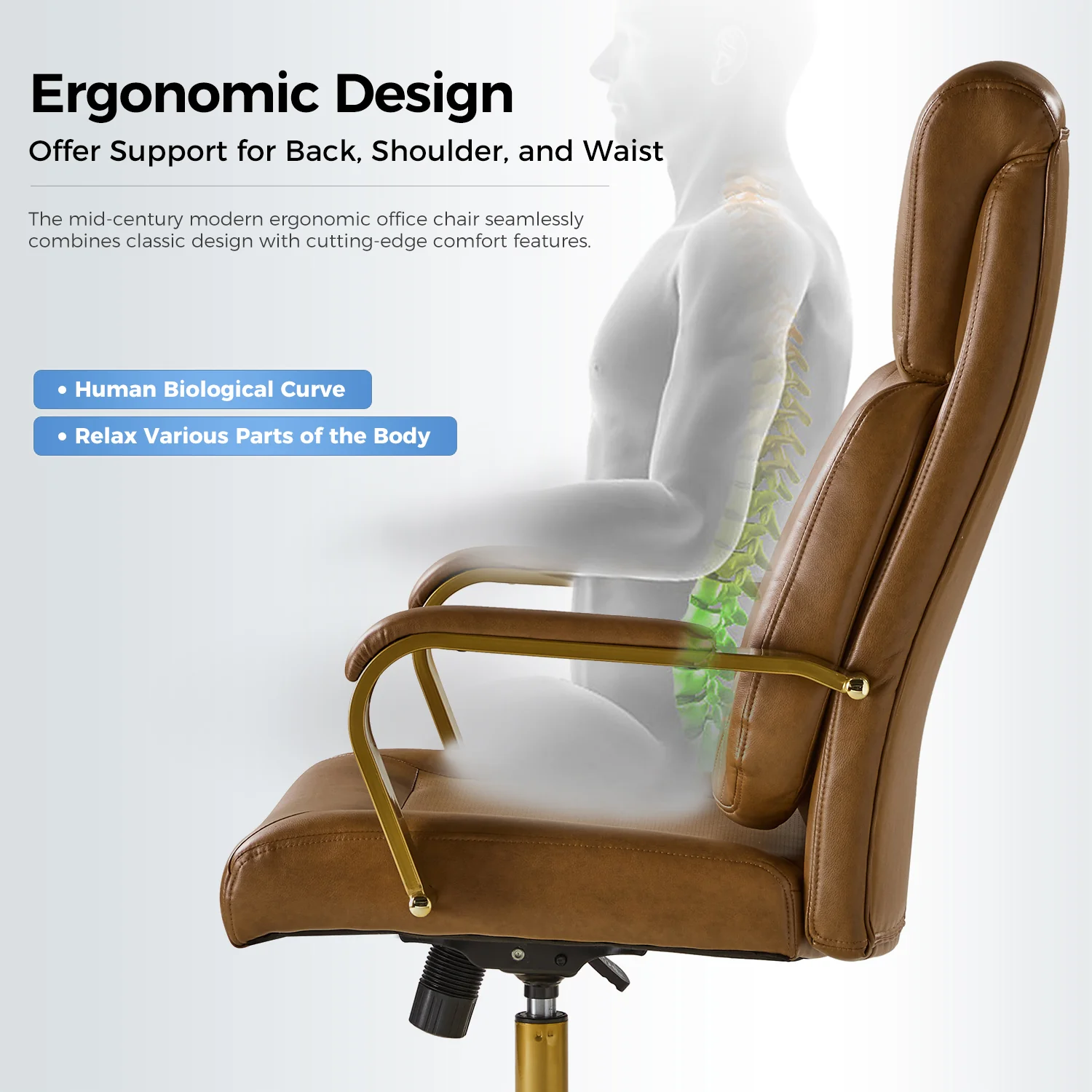 Bradford Ergonomic Office Chair with Lumbar Support in Camel