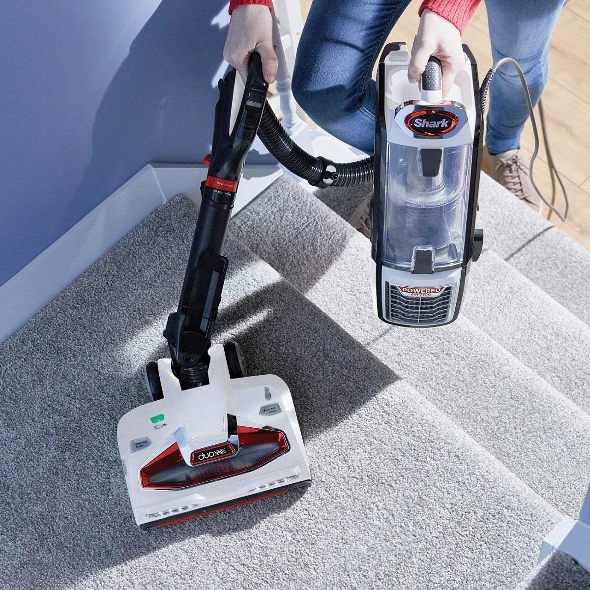 SHARK 220 volt vacuum NV801 UPRIGHT VACUUM CLEANER POWERED LIFT-AWAY, POWERFUL, WHITE AND CHARCOAL GREY 220v 240 volts