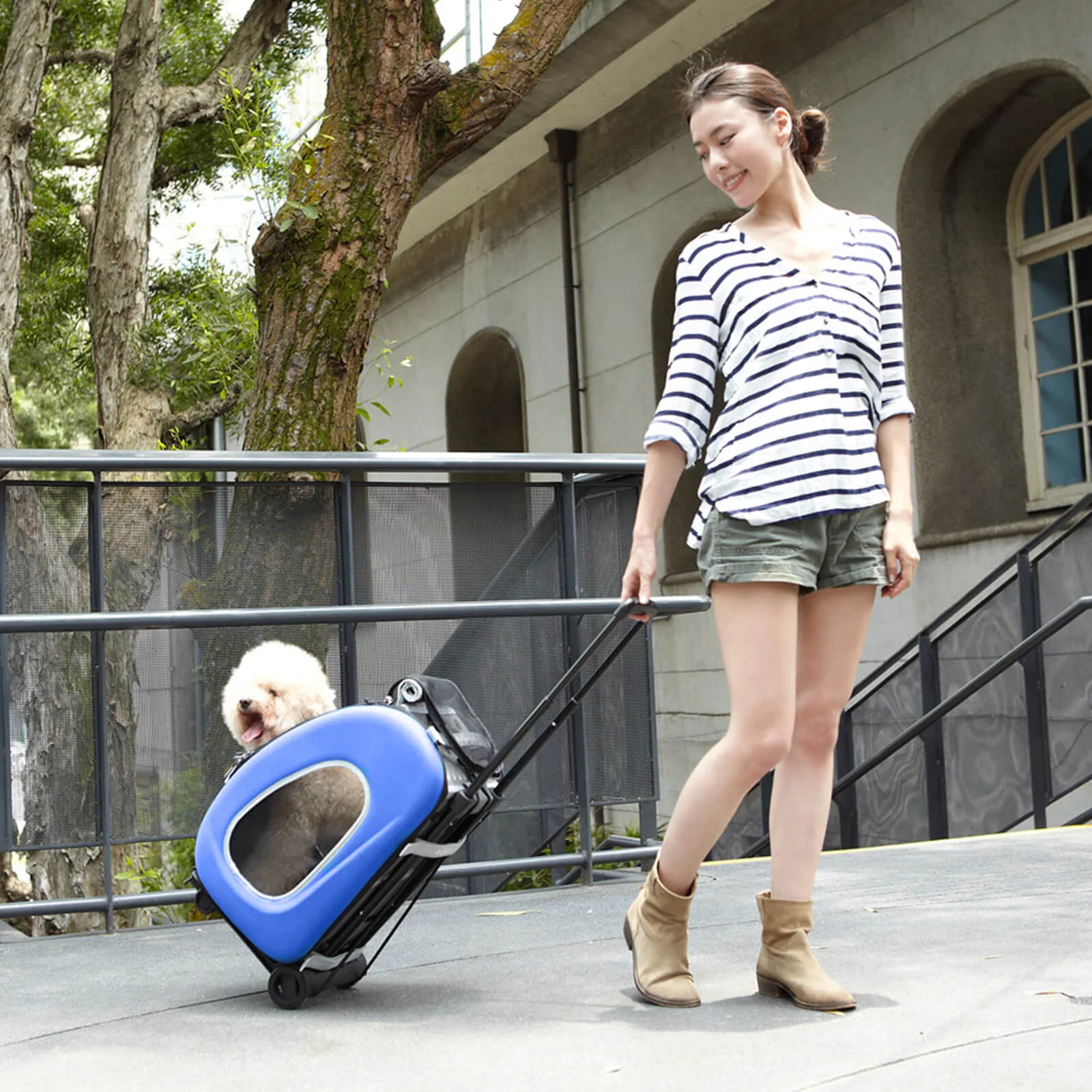 5-in-1 Combo EVA Pet Carrier Stroller Backpack