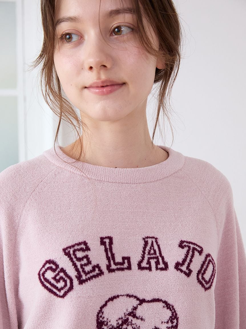 Traditional Ice Cream Logo Pullover