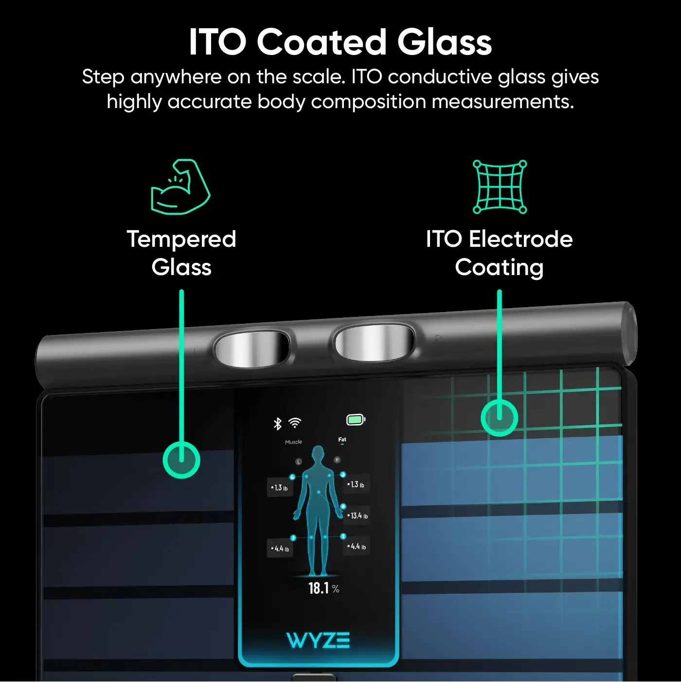 Wyze Scale Ultra BodyScan