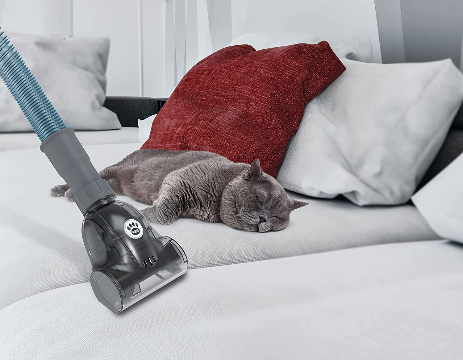 Hoover THB2UDD001 220 volt Upright vacuum cleaner Eco pet bagless Vacuum 220v 240 volts 50 hz