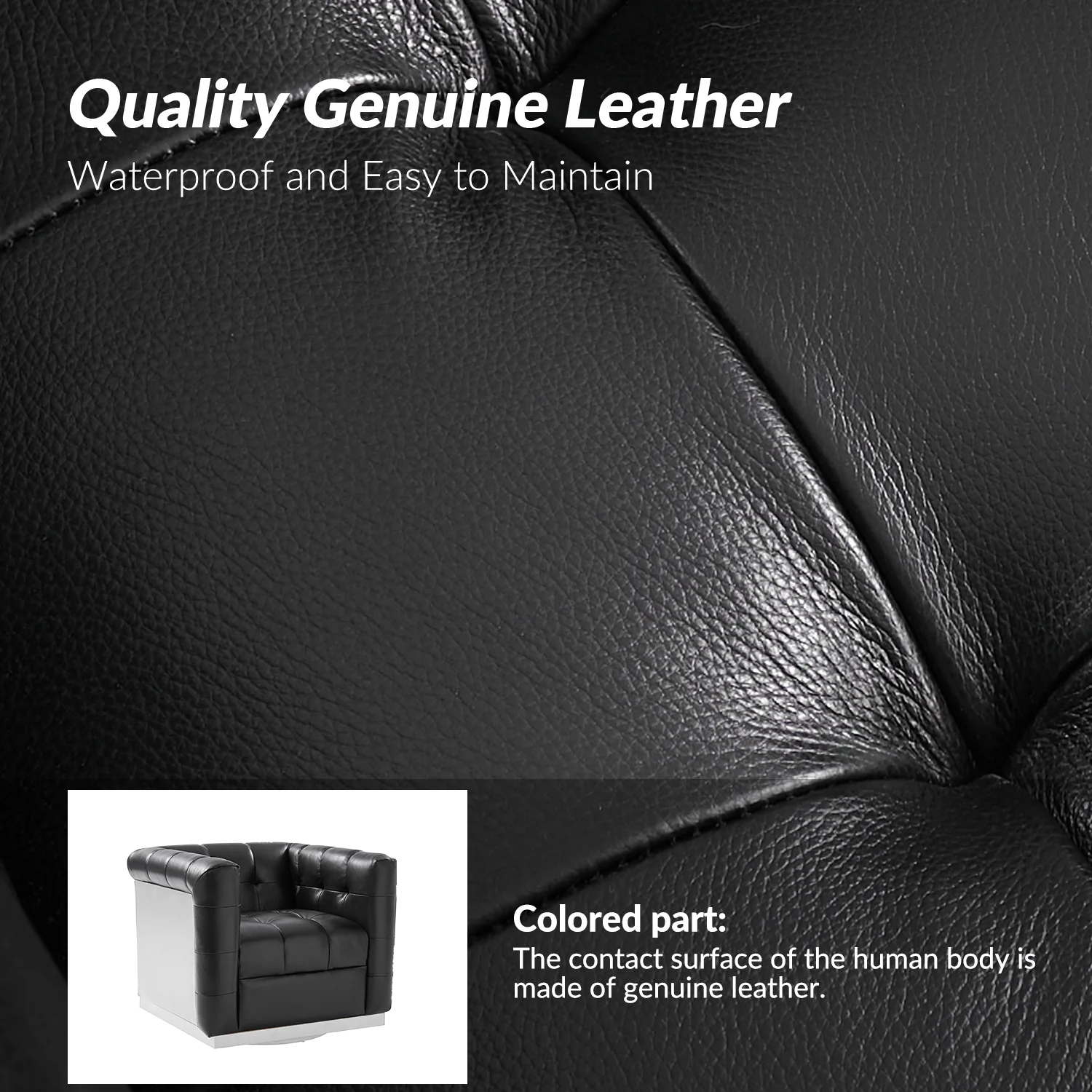 Arnold Genuine Leather Swivel Club Chair in Black