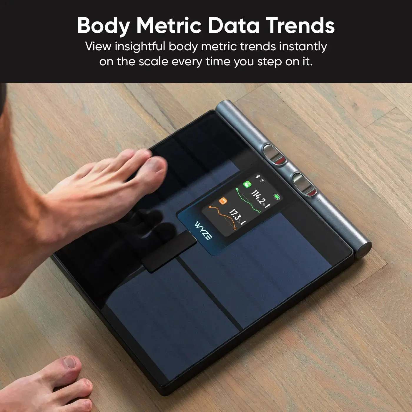 Wyze Scale Ultra BodyScan