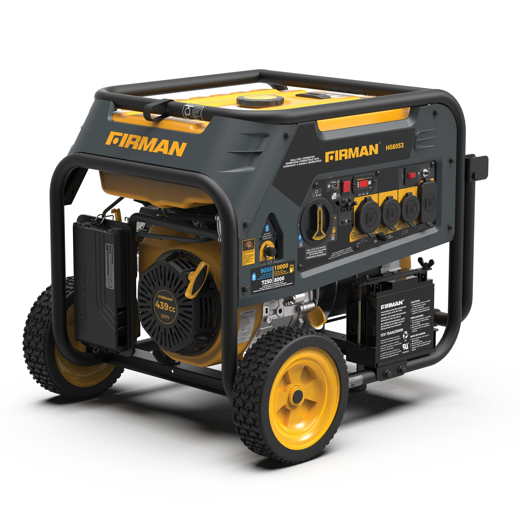 Dual Fuel Portable Generator 8000W Electric Start 120/240V