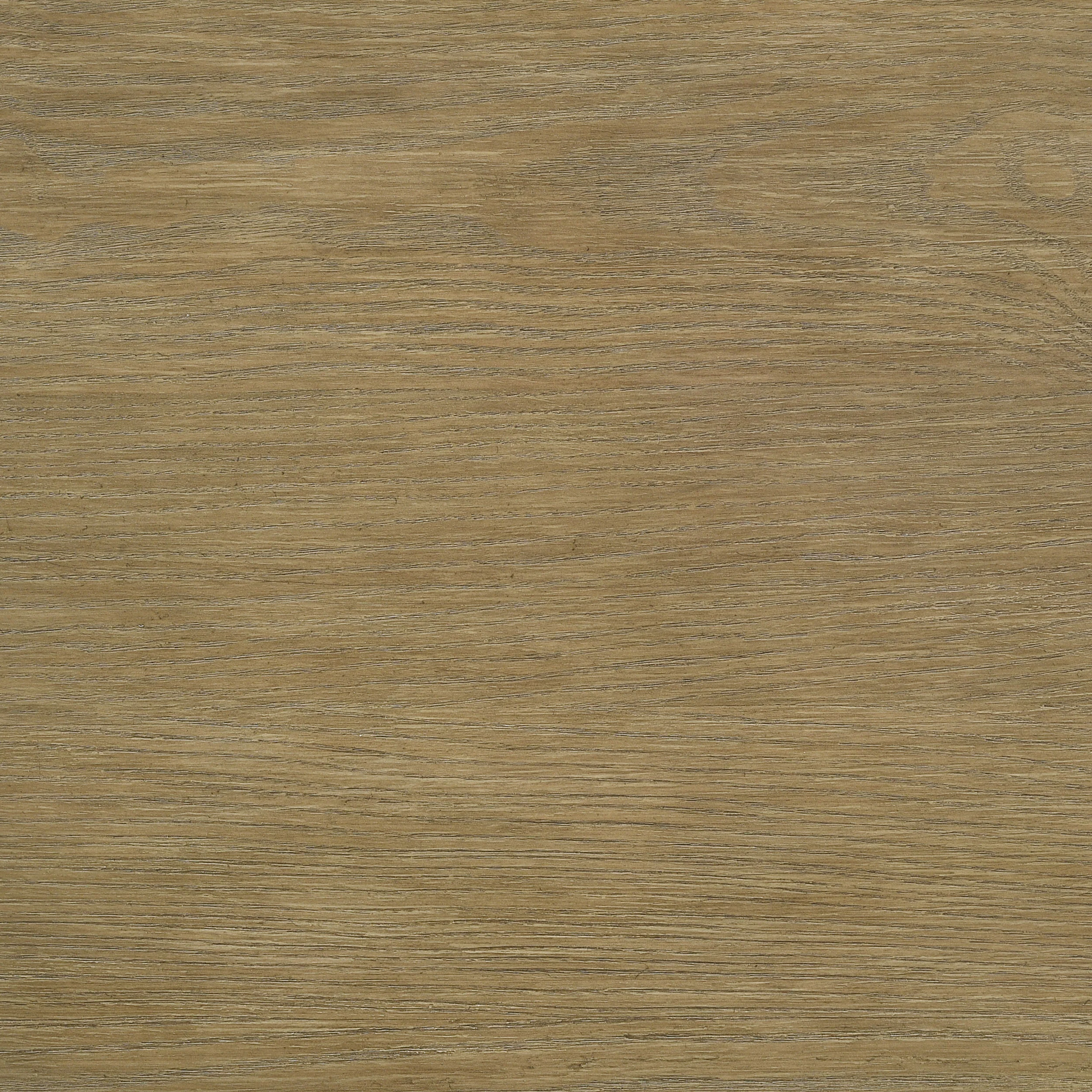 Arini 56-inch  Panel Bed