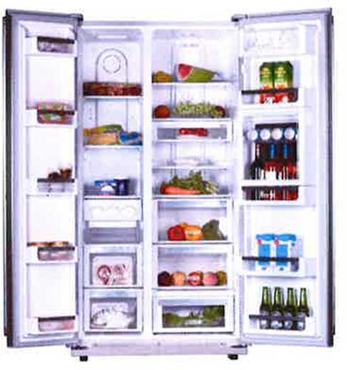 EF - Fisher and Paykel  EFF558SBSMD Side by Side Stainless Steel Refrigerator for 220 volts 50 hz