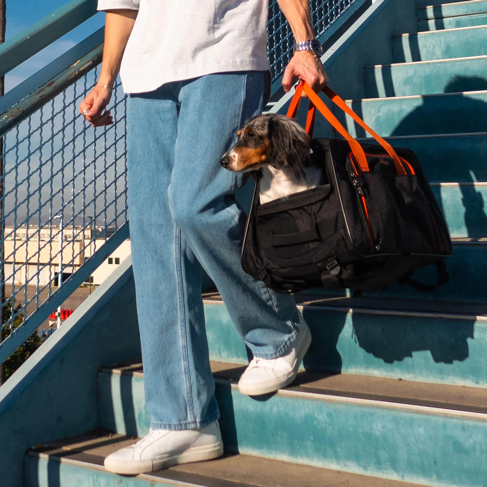 (Open-box item) JetPaw: 3-in-One Pet Stroller with Detachable Airline-Approved Carrier