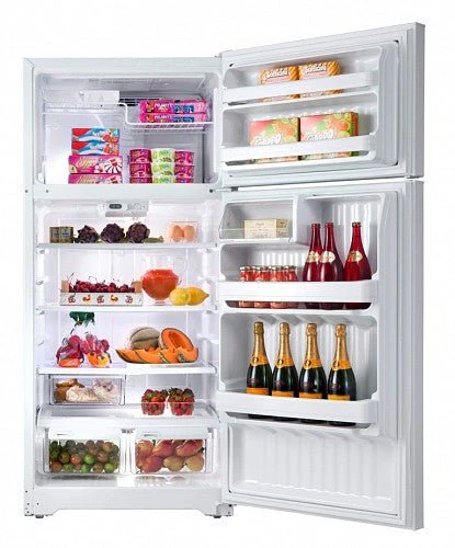 220 Volt GE GTE17GBCWW 17 Cu. Ft. Top Mount Refrigerator