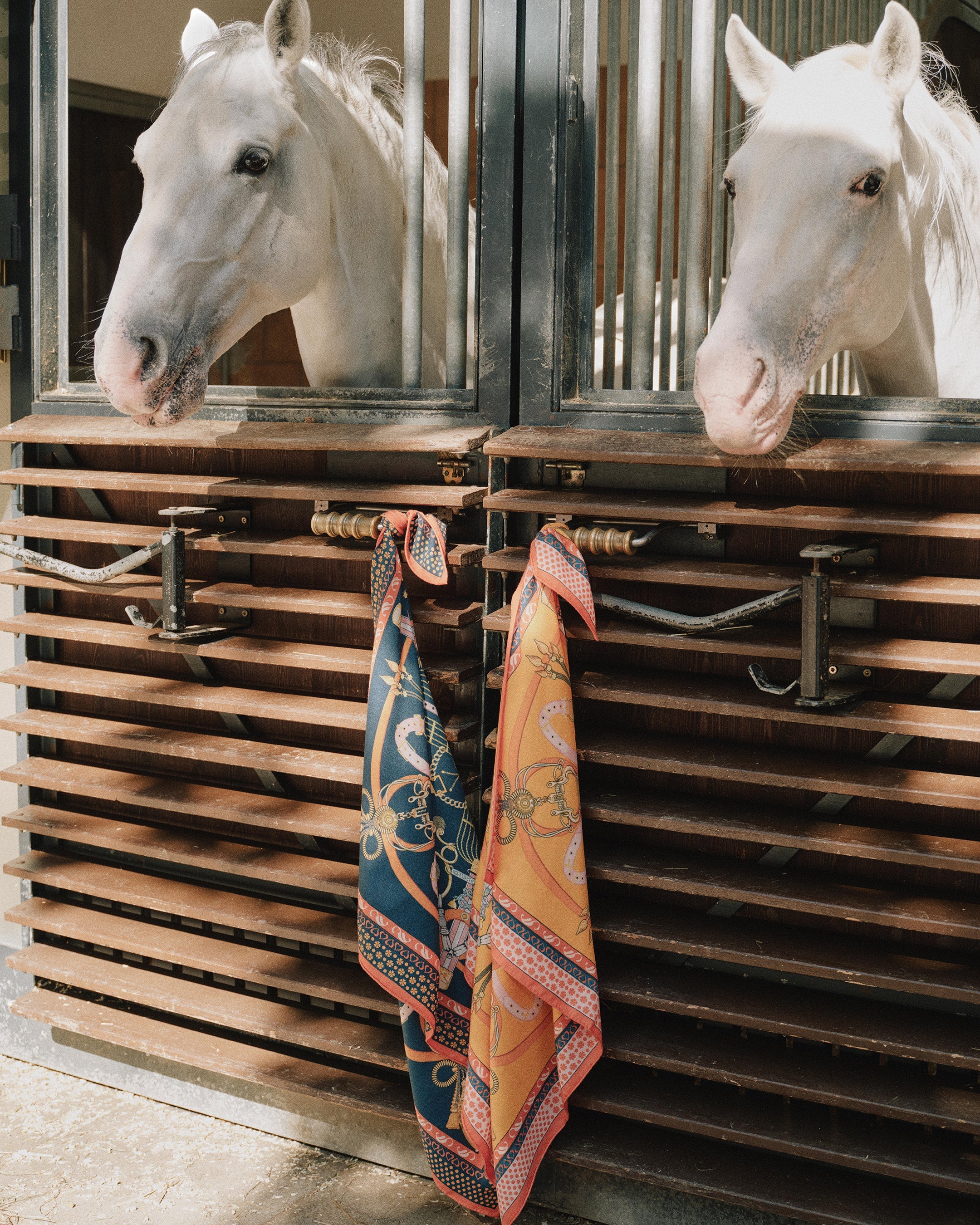 Women's Cashmere Silk Printed Foulard Navy Blue