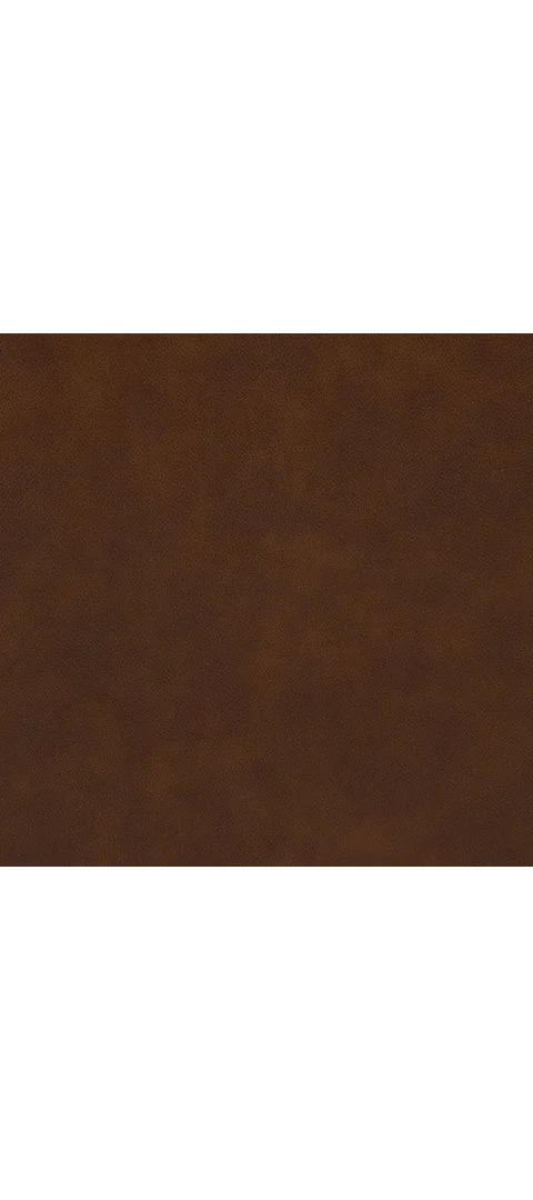 Backtrack Sofa and Loveseat