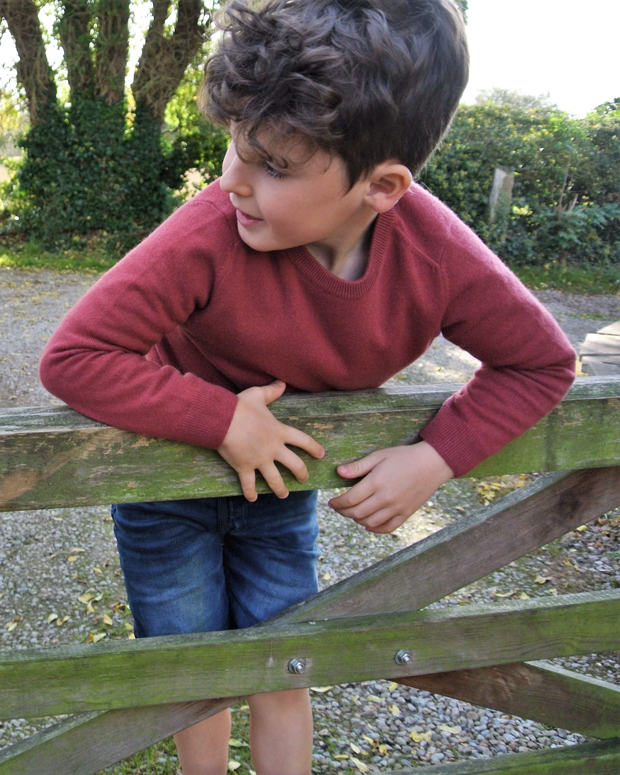 Boys Round Neck Cashmere Sweater Brick Red