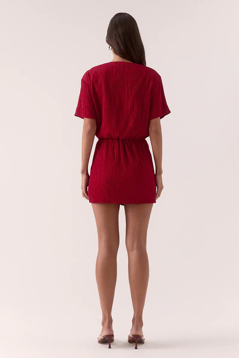 Aine Mini Dress - Raspberry