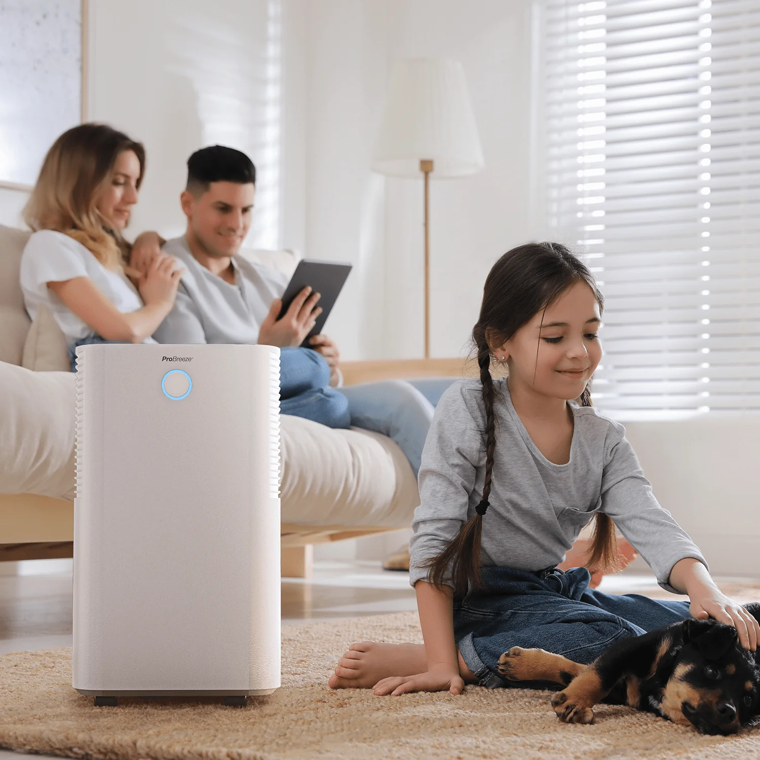 Deshumidificador silencioso y de bajo consumo OmniDry 12L – Blanco