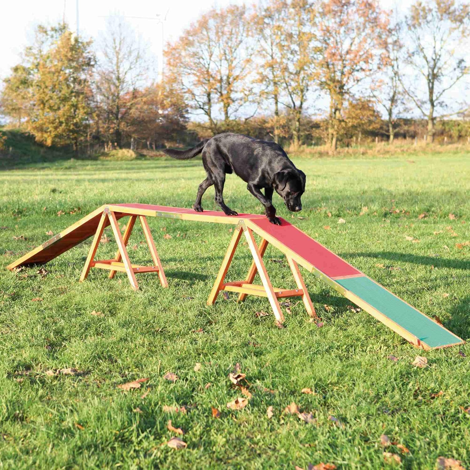 TRIXIE Caminadora de Agilidad para Perros, Entrenamiento Canino de Agilidad y Obediencia