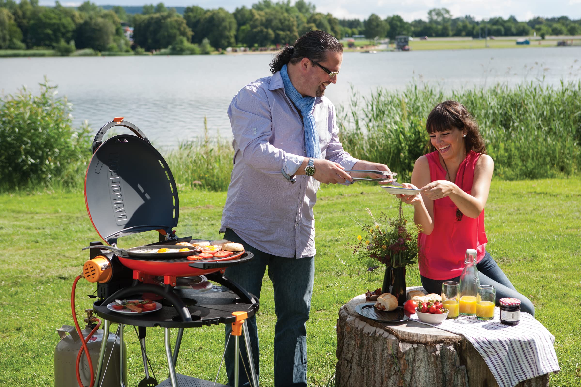 2025 Napoleon TQ2225 STAND TQ2225PO Accesorio Portátil