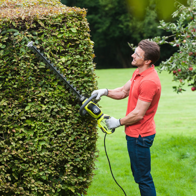 Cortasetos eléctrico RYOBI RHT6160RS 600W 60 cm longitud de cuchilla