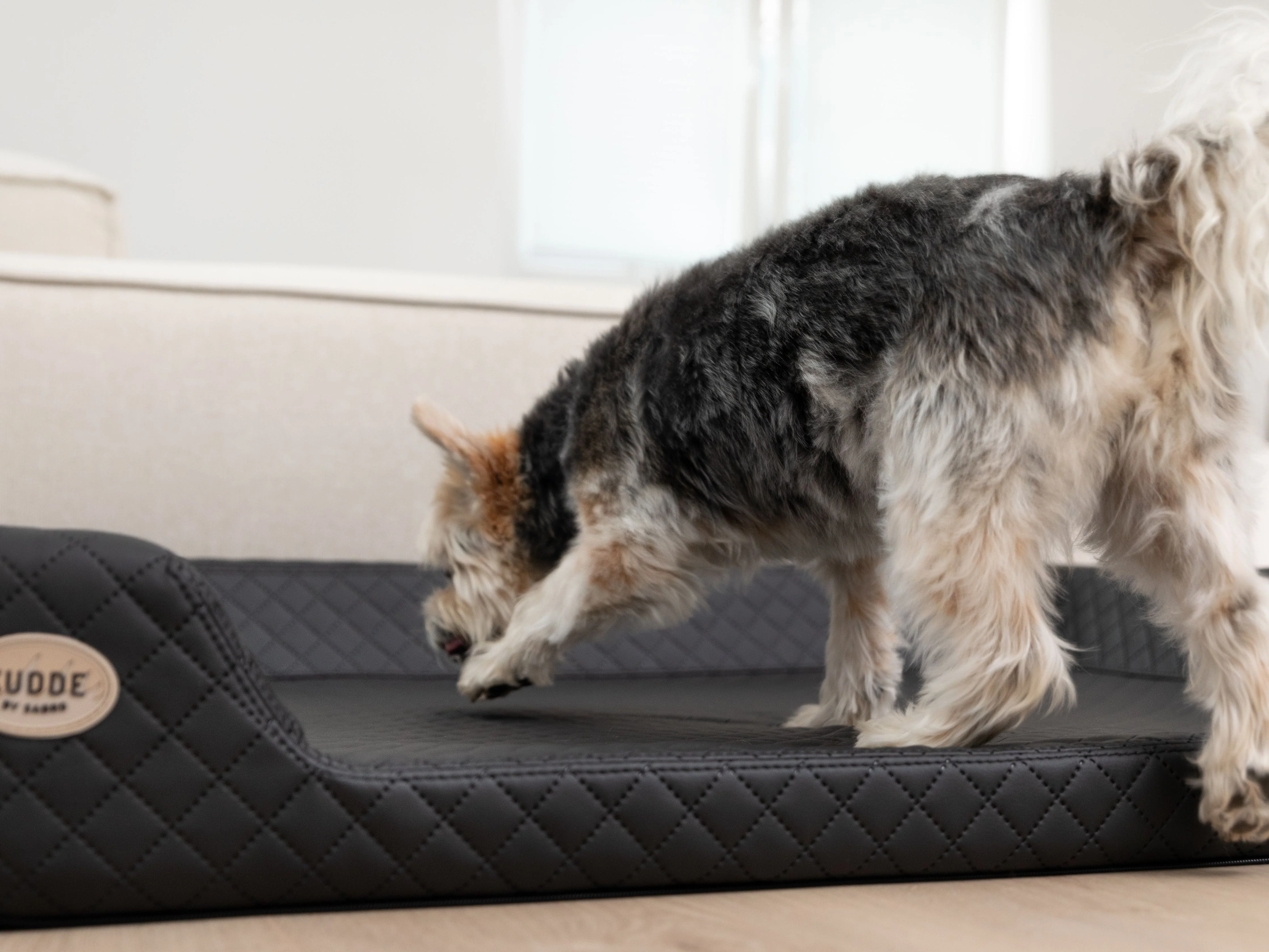 2025 Cama para perro Hemma