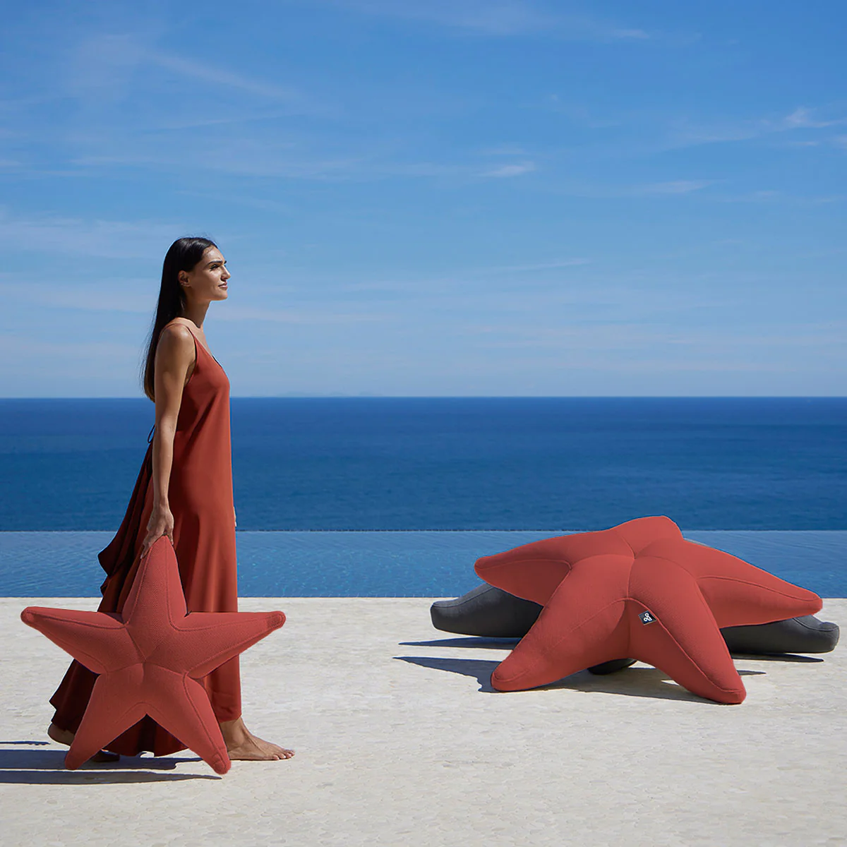 Estrella flotante Starfish