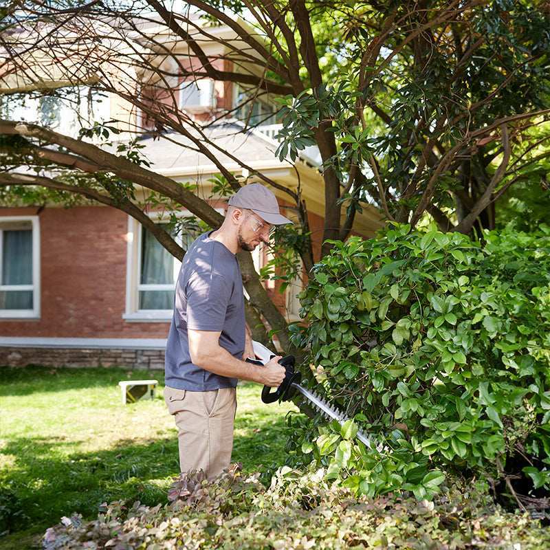 2025 Cortasetos inalámbrico Litheli U20 20V (sin batería)