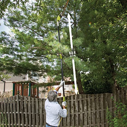 2025 Sun Joe SWJ803E Motosierra eléctrica con pértiga multiángulo, 25,4 cm, 8,0 amperios, verde