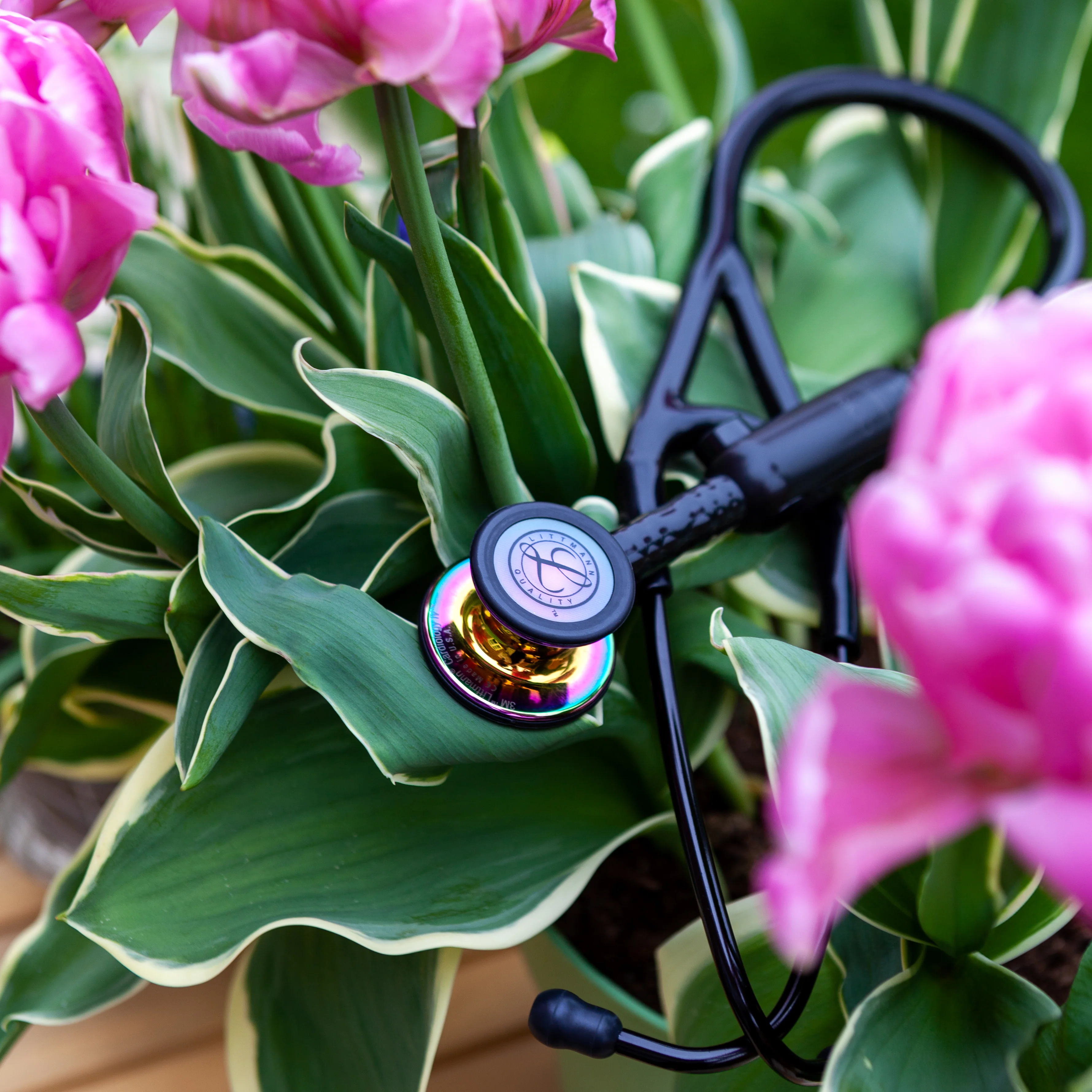 2025 Estetoscopio digital Littmann CORE 8572 – acabado brillante arcoíris