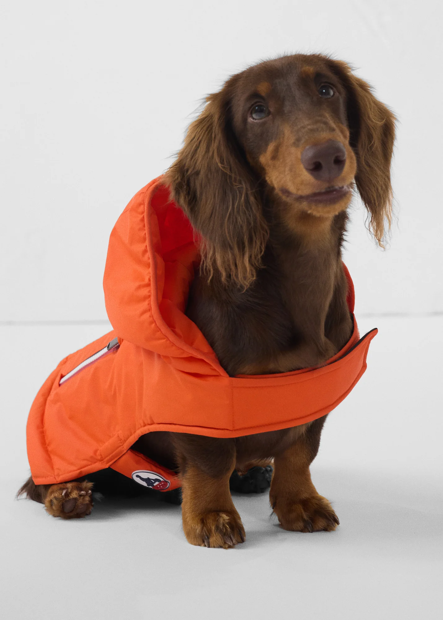 Imperméable pour chien Rouge feu Balto